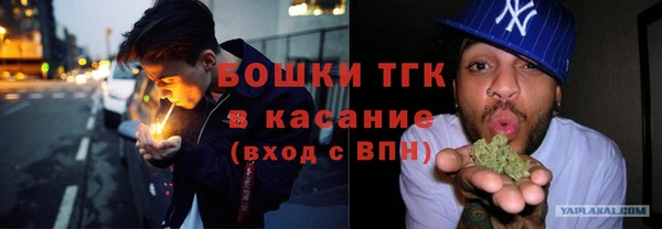 мдпв Кулебаки