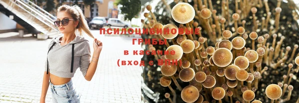 мдпв Кулебаки